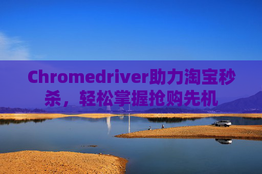 Chromedriver助力淘宝秒杀，轻松掌握抢购先机